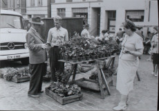 Amalienplatz32