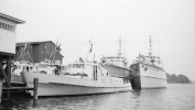 Hafen1960