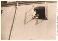 KoenigbergerStr23Fenster