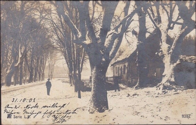 Schleswig, 1903, Winter