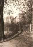 Wilhelminenschule