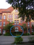 wilhelminenschule-strassenfront