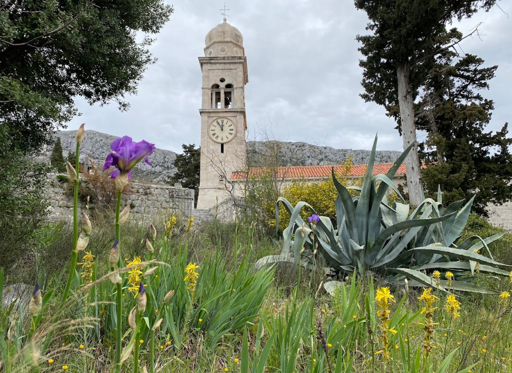 Dubrovnik - Župna crkva Velike Gospe - Nagyboldogasszony-plébániatemplom