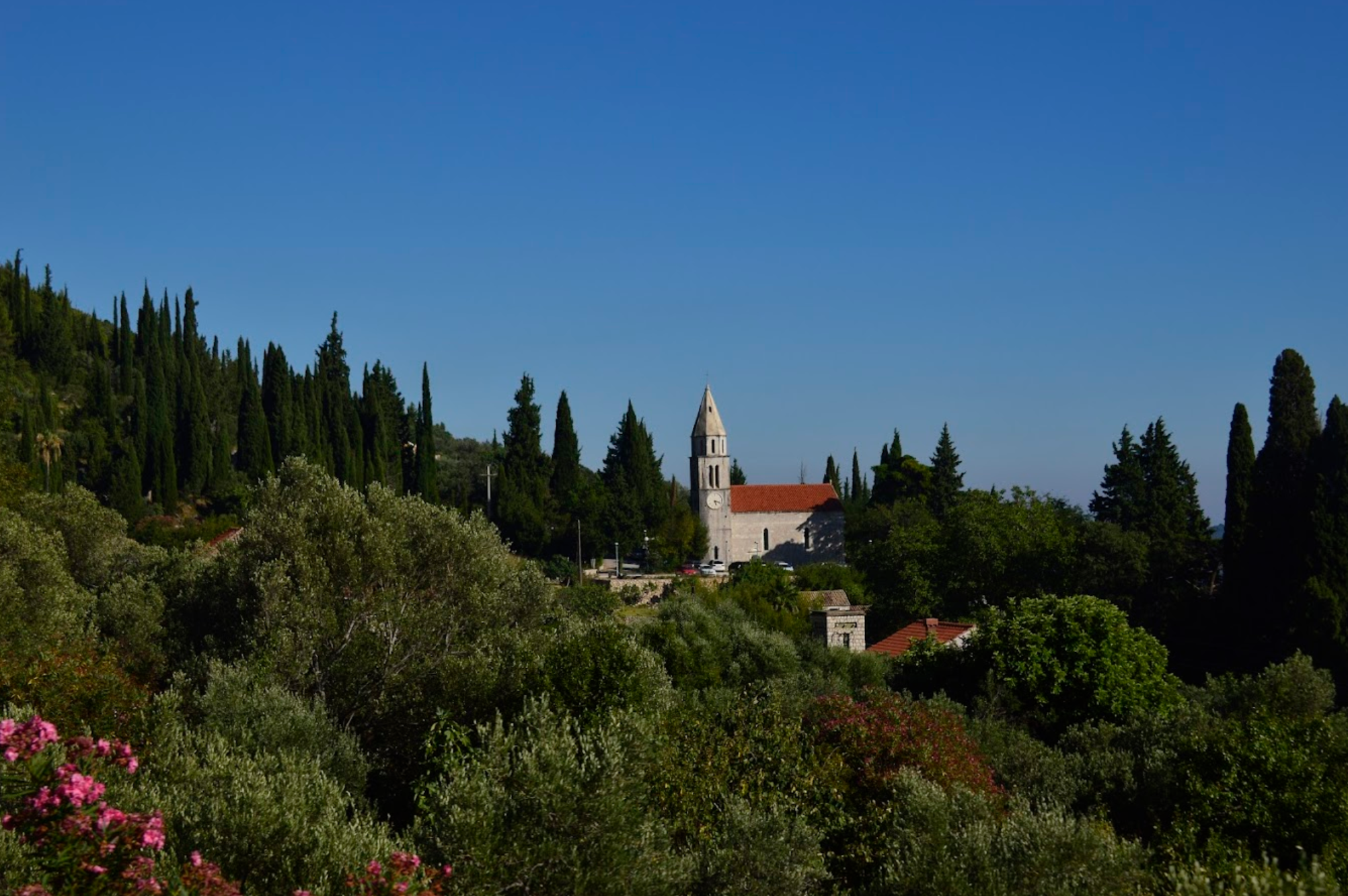Dubrovnik - Župna crkva svetog Vida, Trsteno - Szent Vid-plébániatemplom