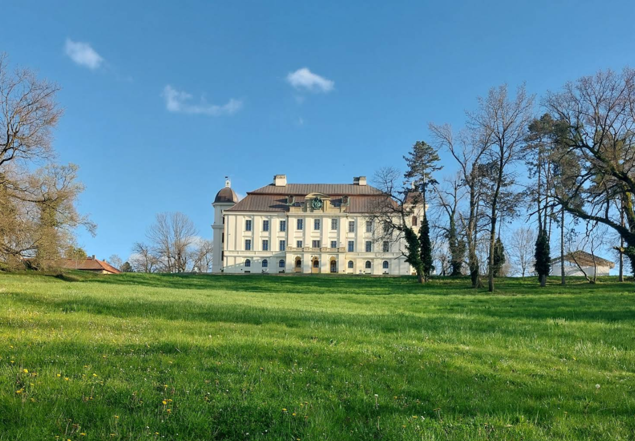 Našice - Nekcse - Dvorac Pejačević/Zavičajni muzej/Gradska knjižnica - Pejácsevich-kastély, nagykastély/Helytörténeti múzeum/Városi könyvtár
