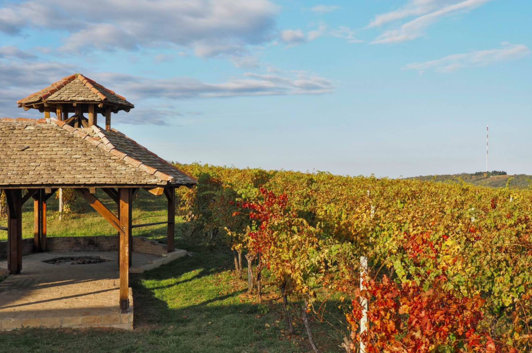 Popovac -  Baranyabán - Beljski vidikovac, Vina Belje - Belje kilátópont, 230 m
