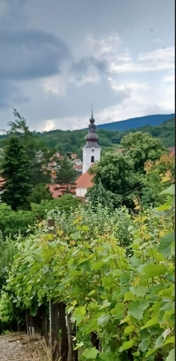 Kutjevo - Župna crkva rođenja Blažene Djevice Marije (BDM) - Boldogságos Szűz Mária születése/Kisboldogasszony-plébániatemplom