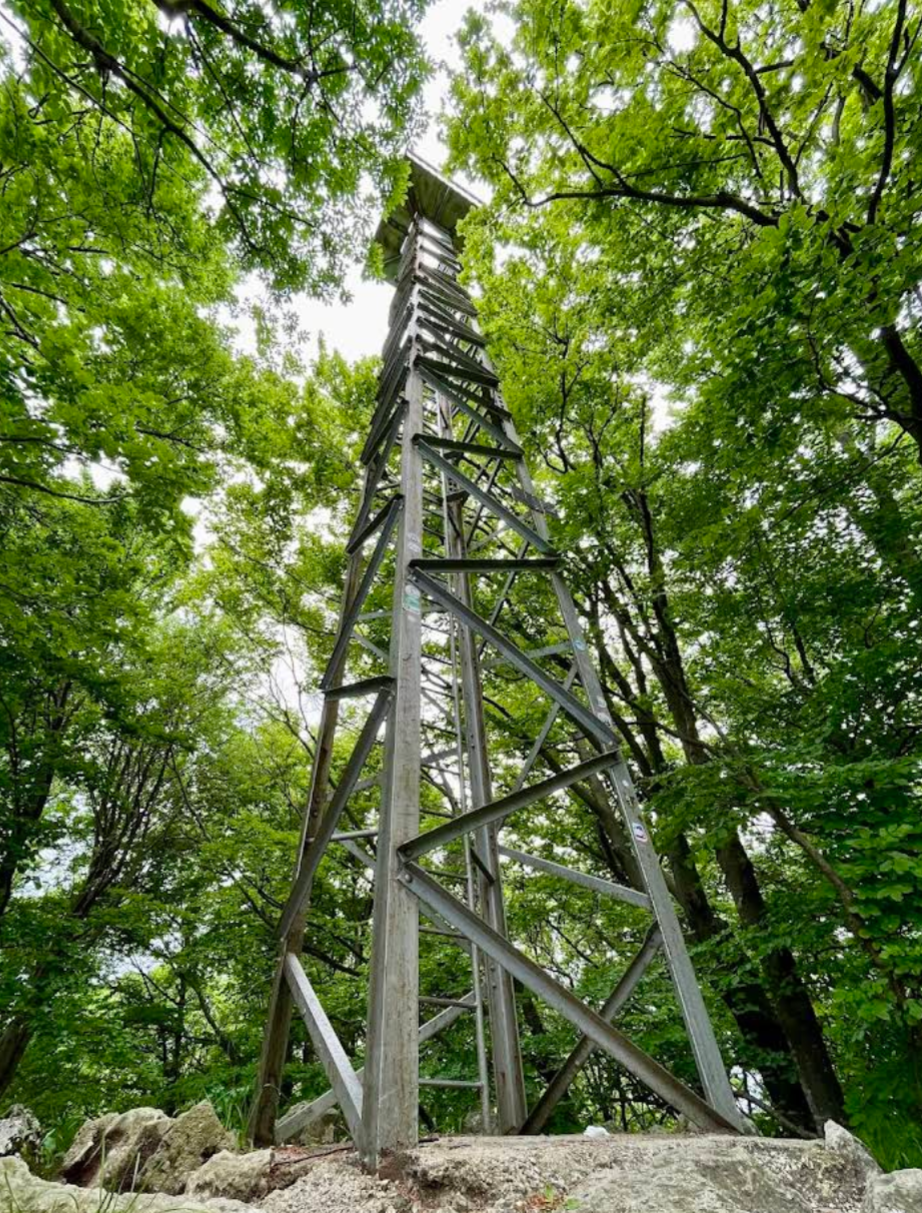 Kameničko Podgorje - Piramida Ravna Gora (694 m) - Piramida kilátó (694 m)