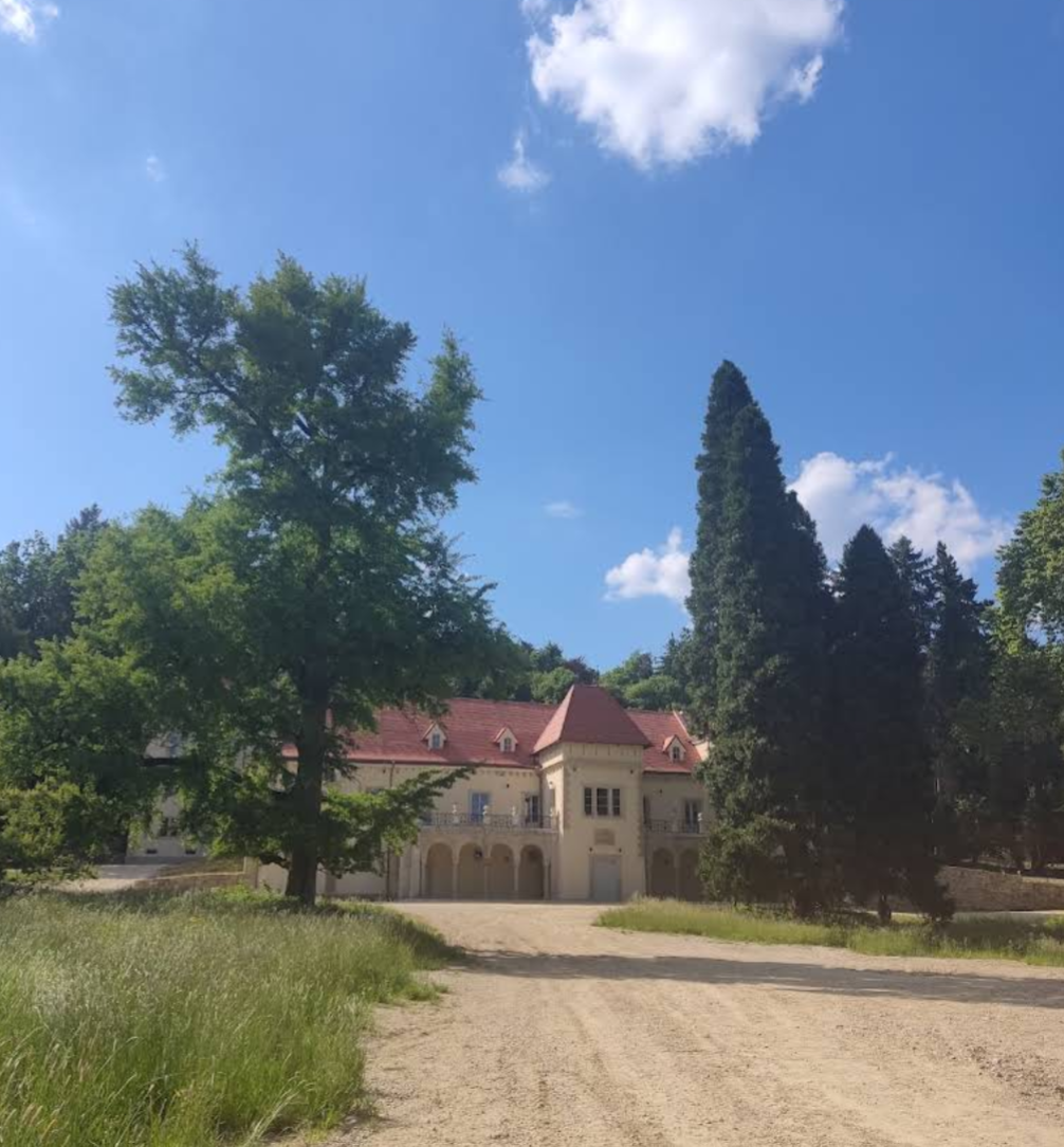 Marčan - Dvorac Opeka okružen zelenilom arboretuma - Opeka kastélya és arborétum