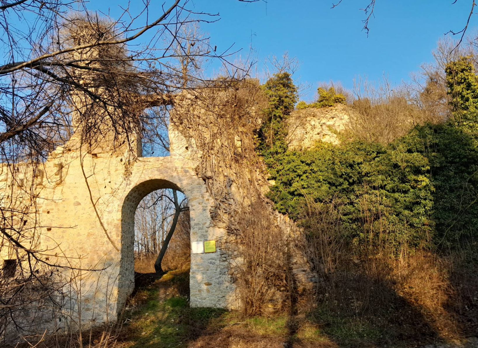 Vinica Breg - Stari grad Vinica (ruševina) - Vinica várának romjai a szőlőhegyen