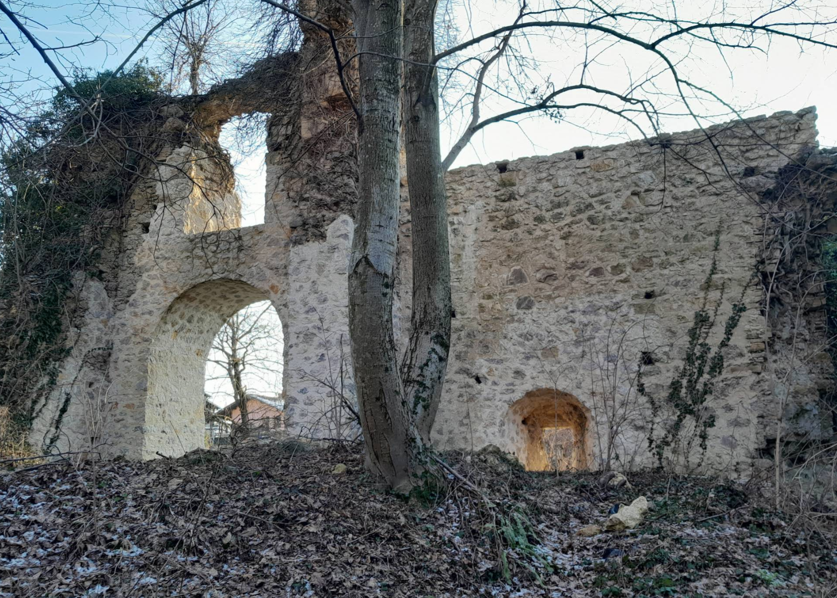 Vinica Breg - Stari grad Vinica (ruševina) - Vinica várának romjai a szőlőhegyen
