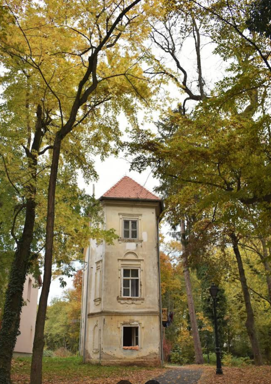 Dugo Selo - Dugoszelo - Dvorac obitelji Drašković, Perivoj grofova Drašković - Draskovics-kastély a Draskovics-kertben