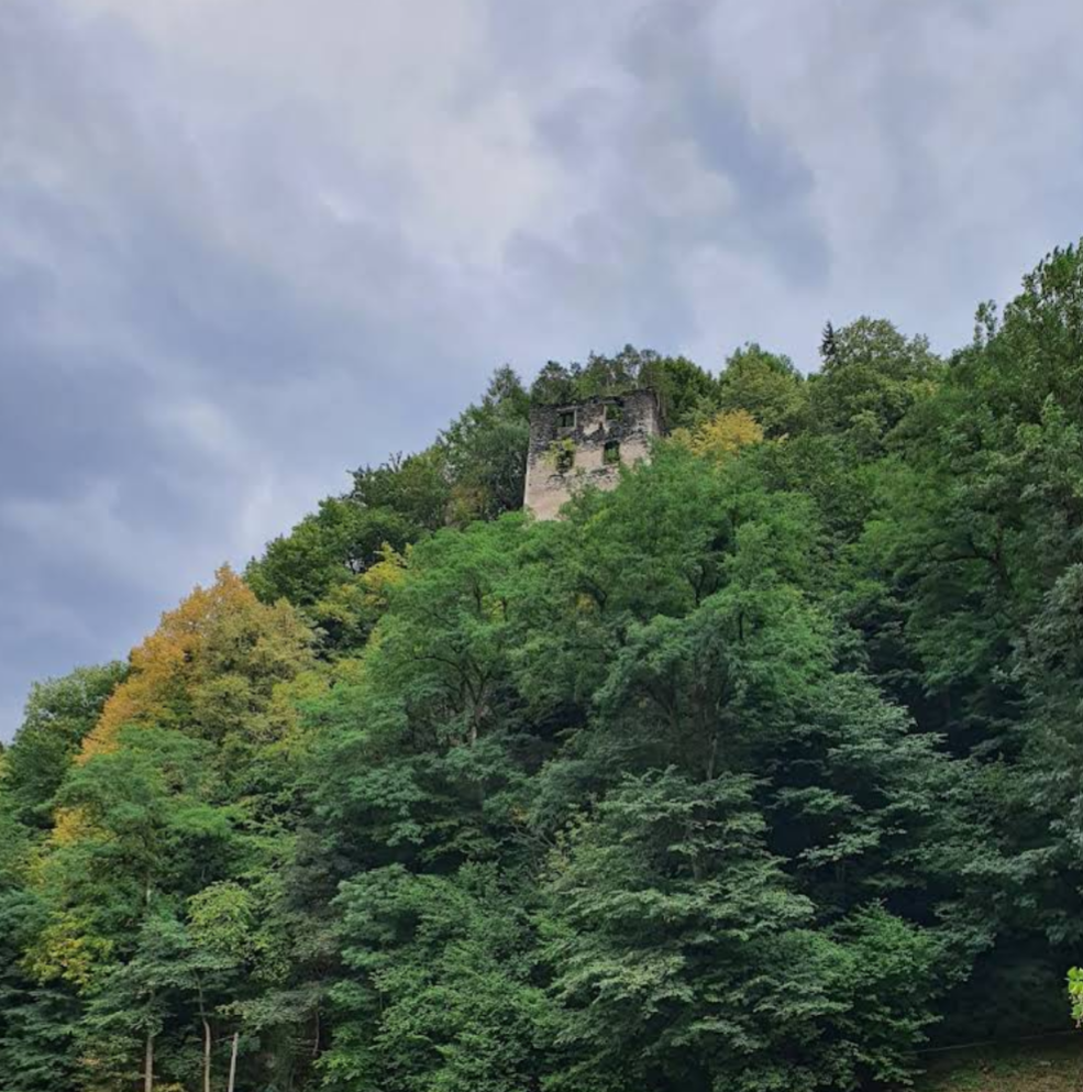Bukovje - Grad Pukštajn - Puchenstein vára