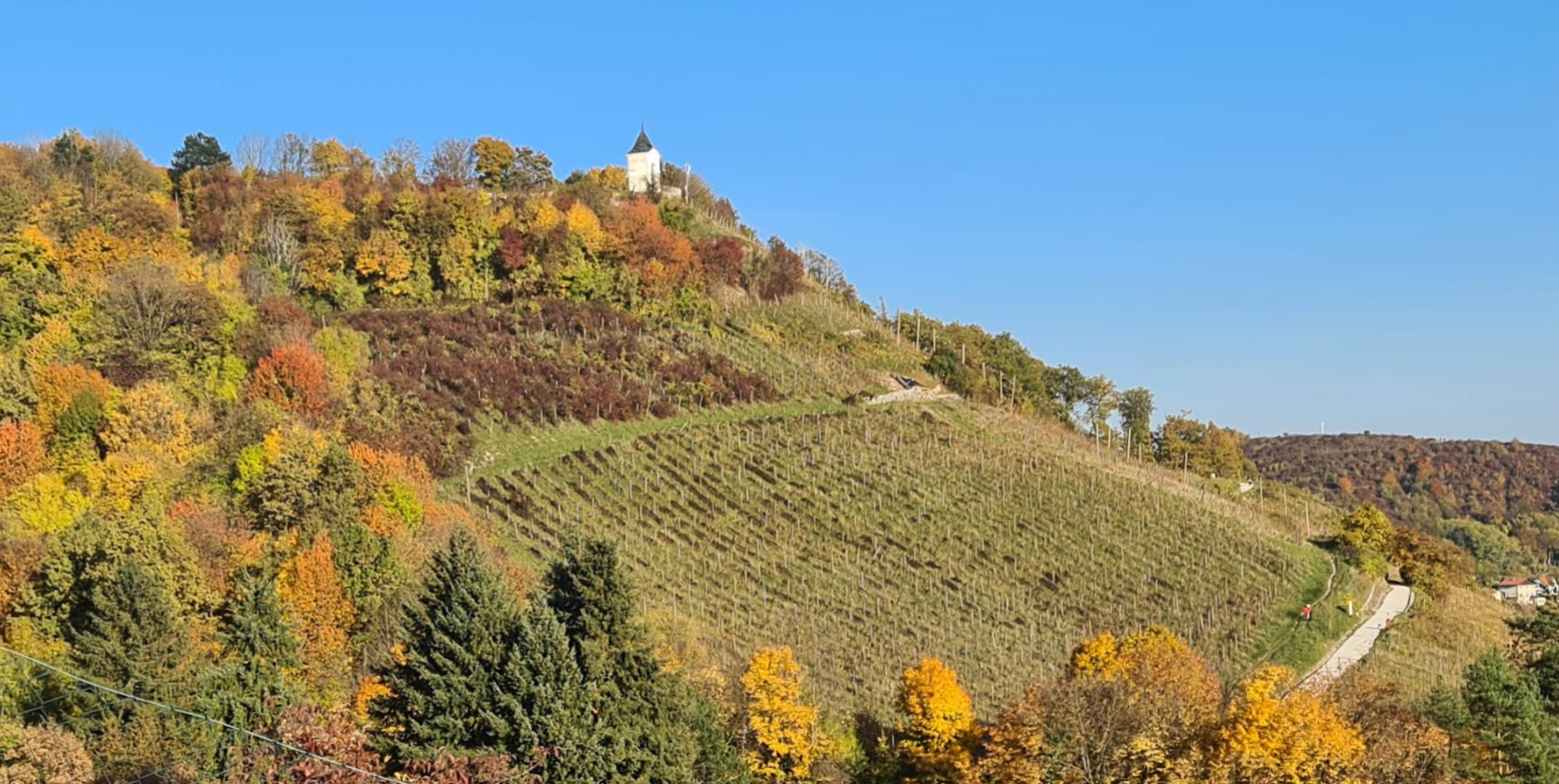 Maribor - Mestni vrh (348 m) - kilátópont
