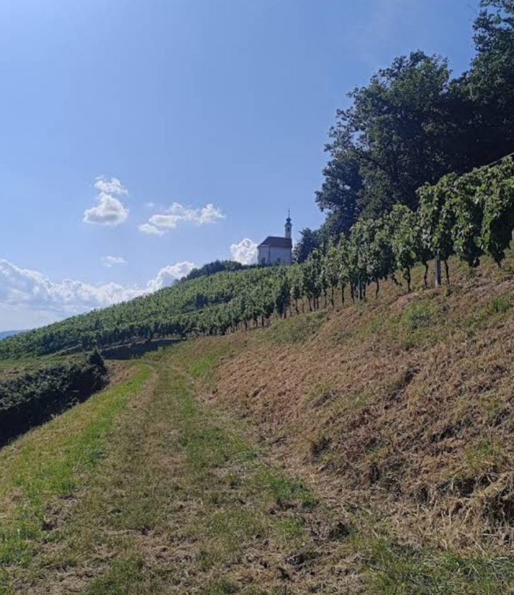Maribor - Mestni vrh (348 m) - kilátópont