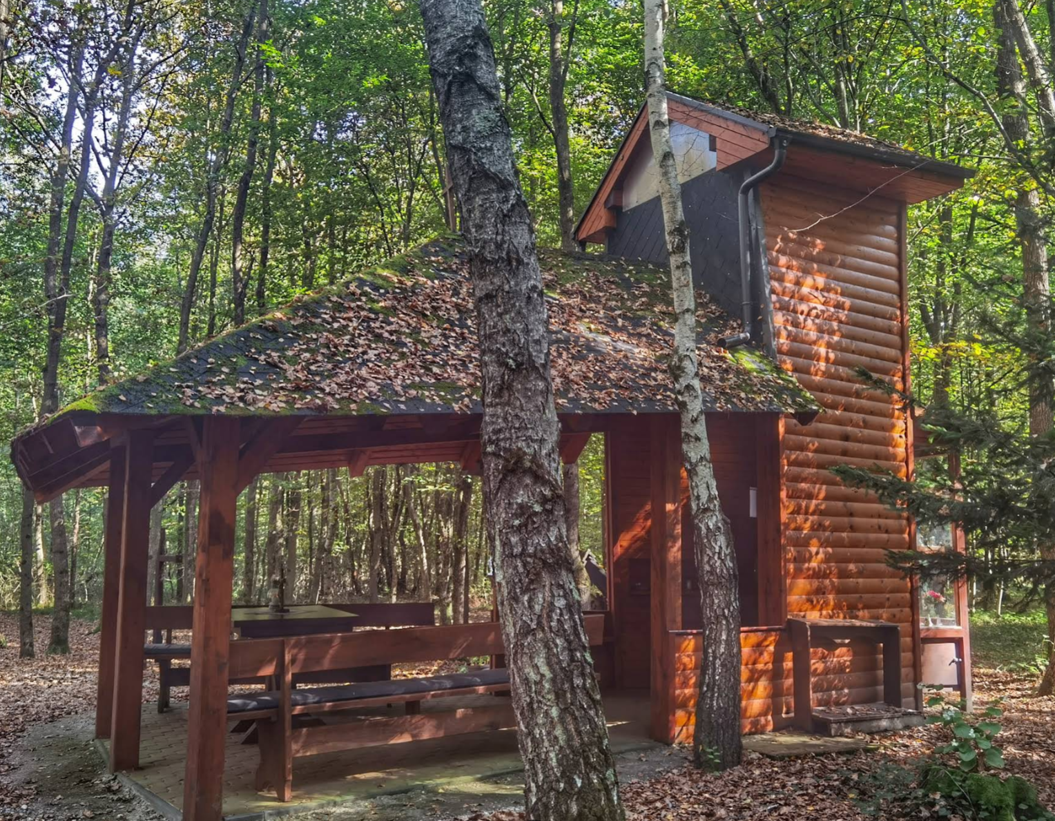 Radmožanci - Radamos - Kapelica sv. Marije v Črnem logu - Szűz Mária-kápolna a Fekete-erdőben