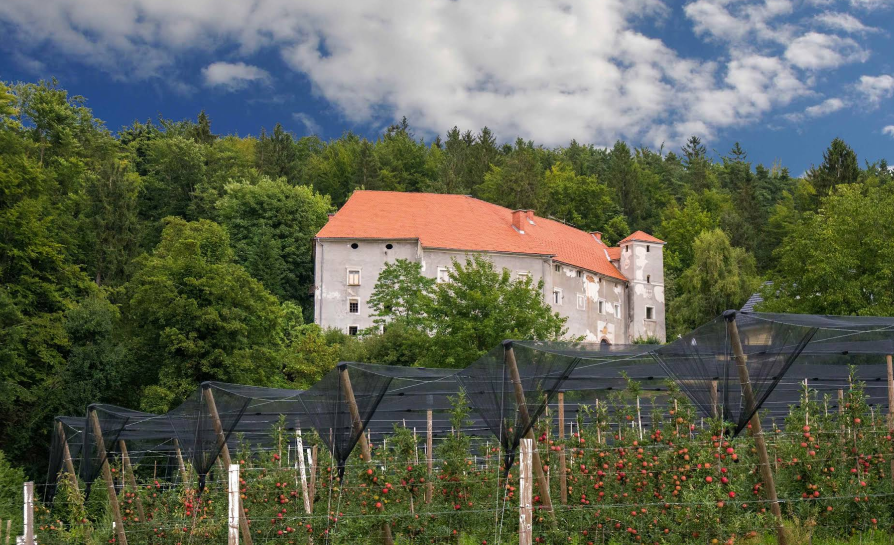 Hrastovec - Grad Turn - Turn vára