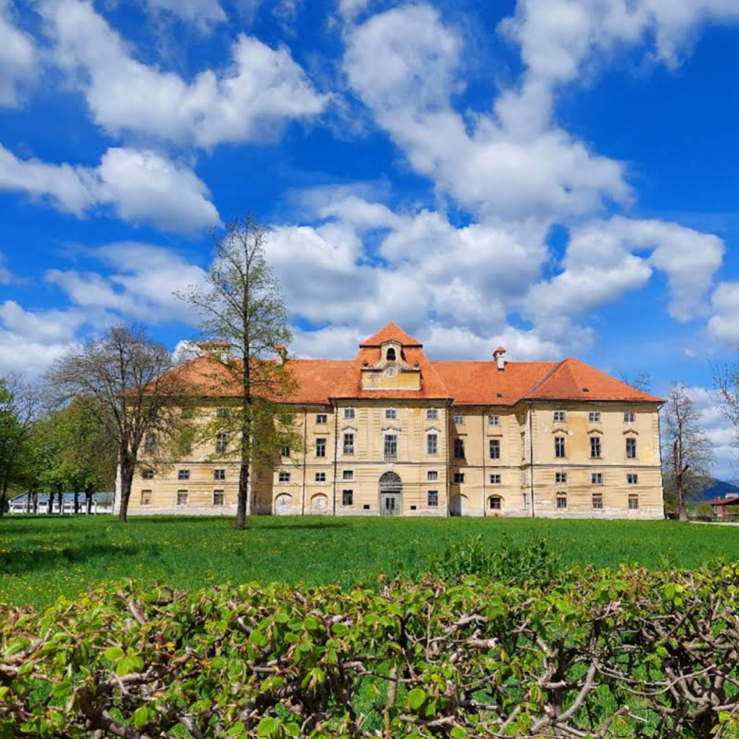 Novo Celje - Dvorec Novo Celje, park dvorca - Novo Celje kastélya és park