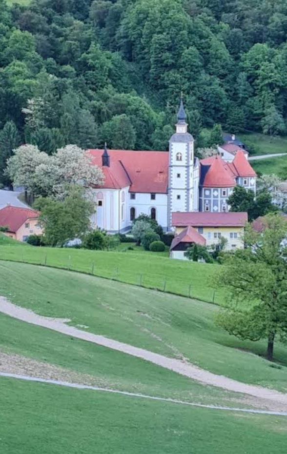 Župnijska cerkev Marijinega vnebovzetja in pavlinski samostan - Szűz Nária mennybemenetele-plébániatemplom, pálos kolostor