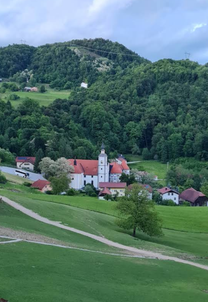 Župnijska cerkev Marijinega vnebovzetja in pavlinski samostan - Szűz Nária mennybemenetele-plébániatemplom, pálos kolostor