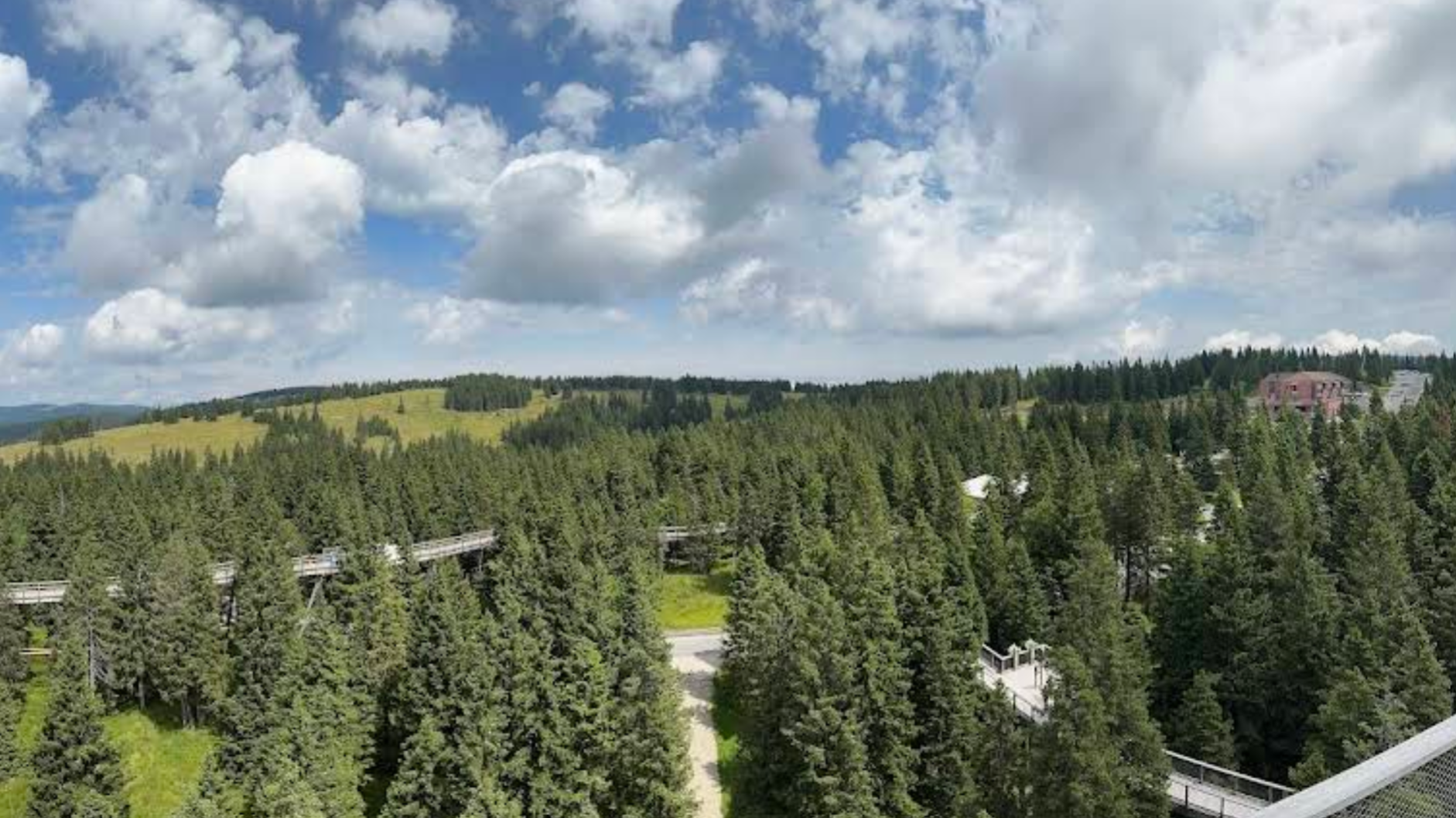 Rogla - Razgledni stolp – Pot med krošnjami Pohorje - kilátó és lombkorona ösvény (1450 m)