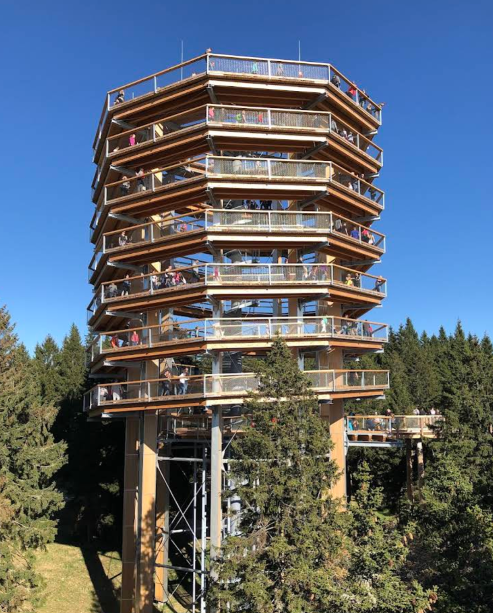 Rogla - Razgledni stolp – Pot med krošnjami Pohorje - kilátó és lombkorona ösvény (1450 m)