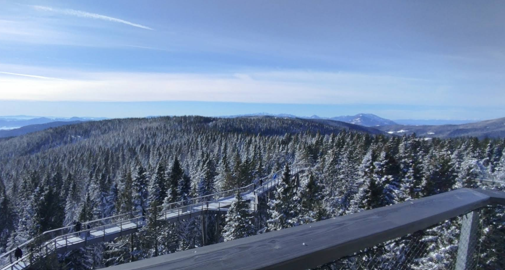 Rogla - Razgledni stolp – Pot med krošnjami Pohorje - kilátó és lombkorona ösvény (1450 m)