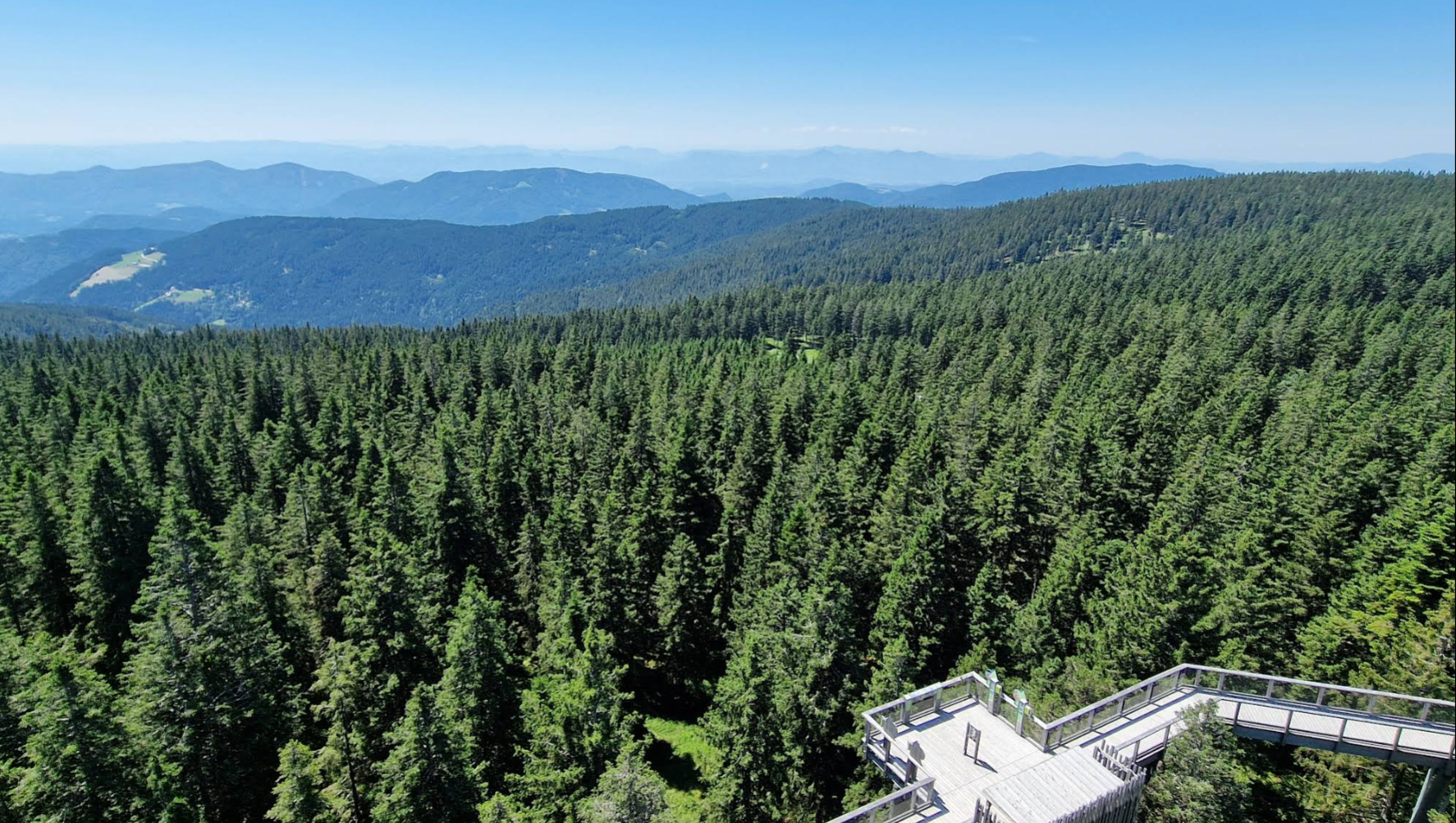 Rogla - Razgledni stolp – Pot med krošnjami Pohorje - kilátó és lombkorona ösvény (1450 m)