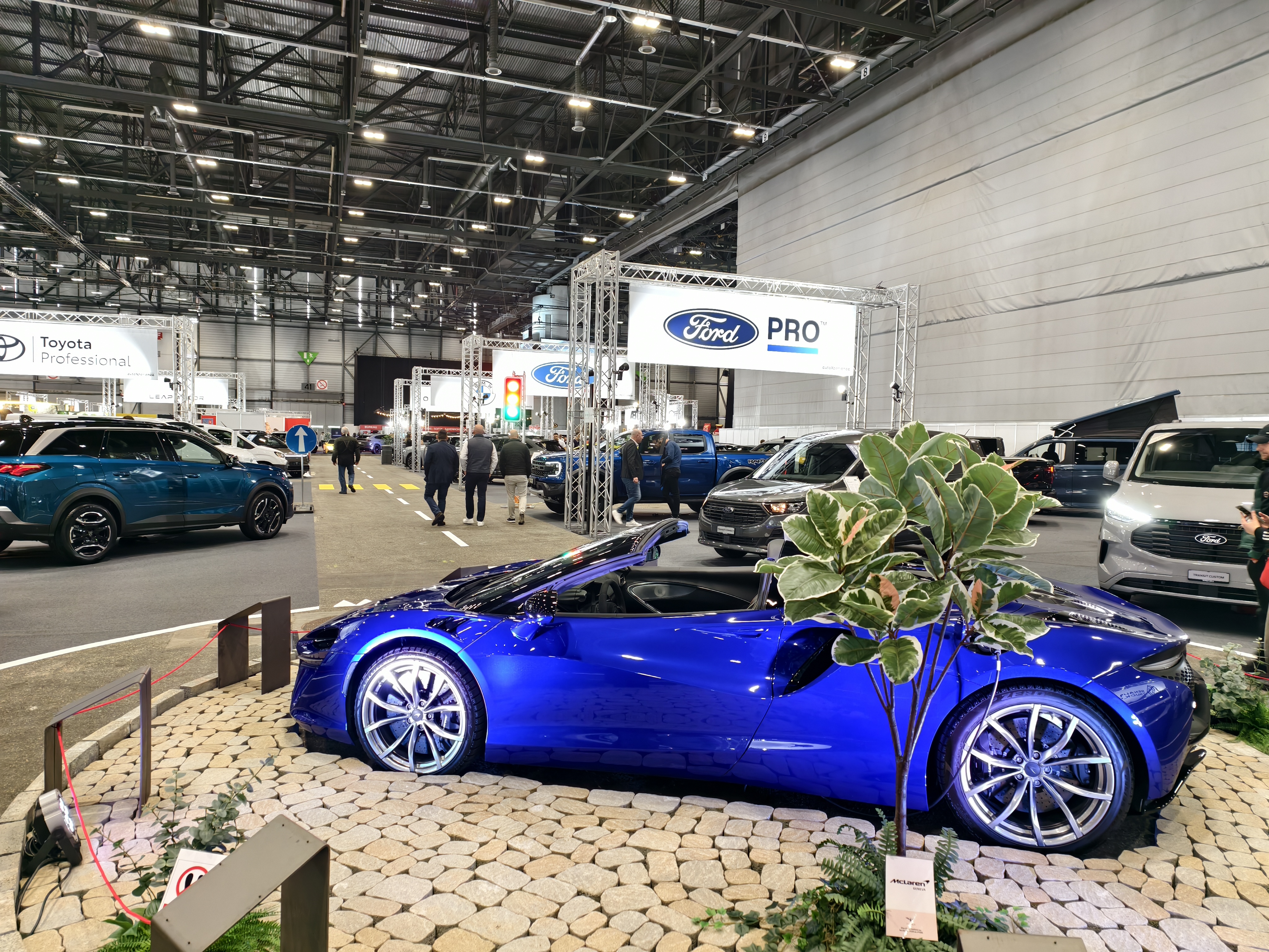 [Image: IMG_20260306_162438.jpg]