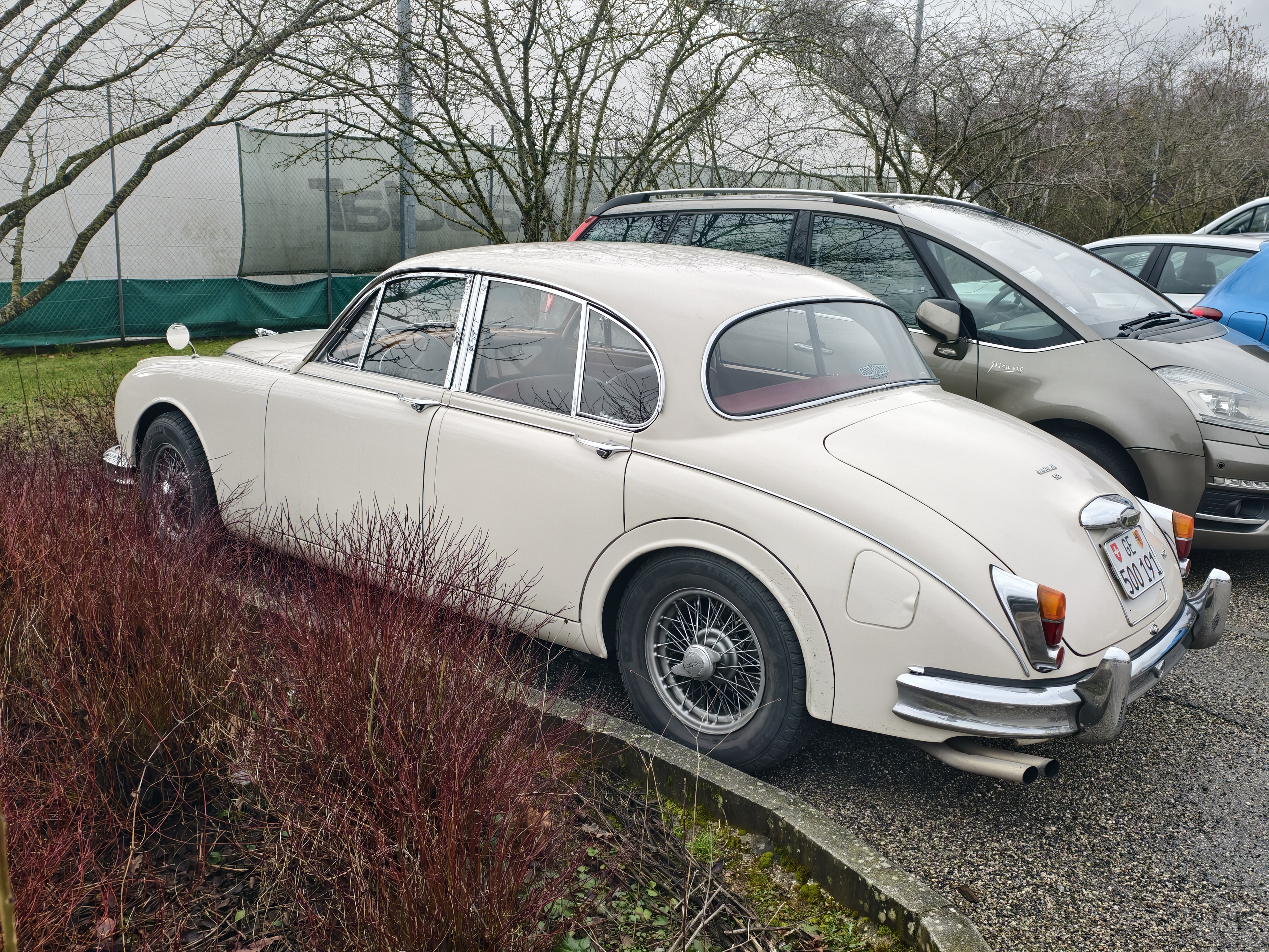 [Image: IMG_20260207_111253.jpg]