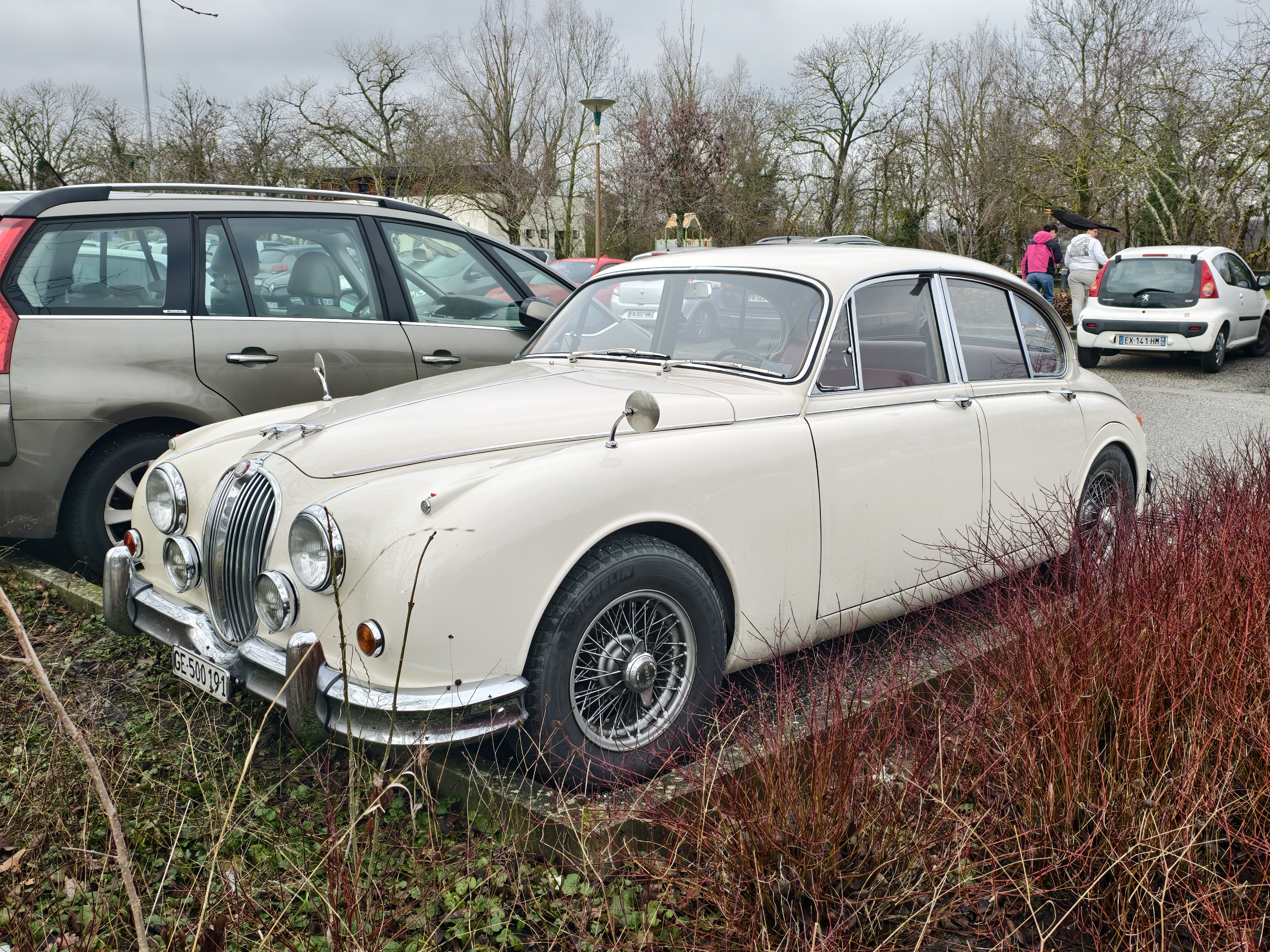 [Image: IMG_20260207_111306.jpg]