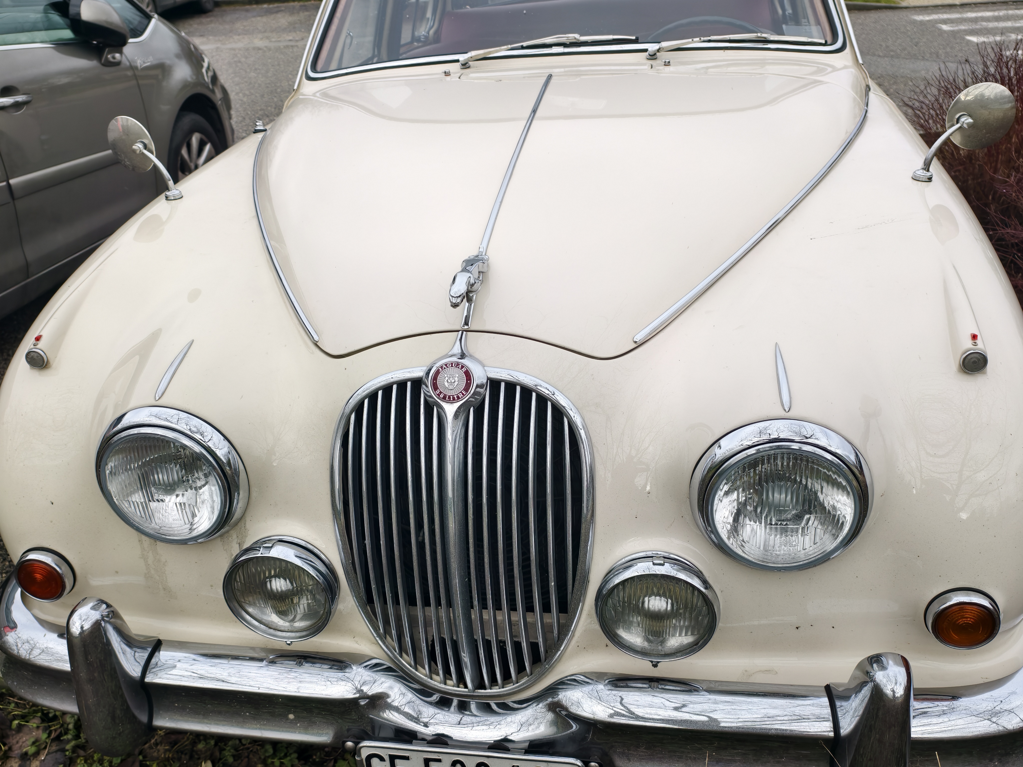 [Image: IMG_20260207_111317.jpg]