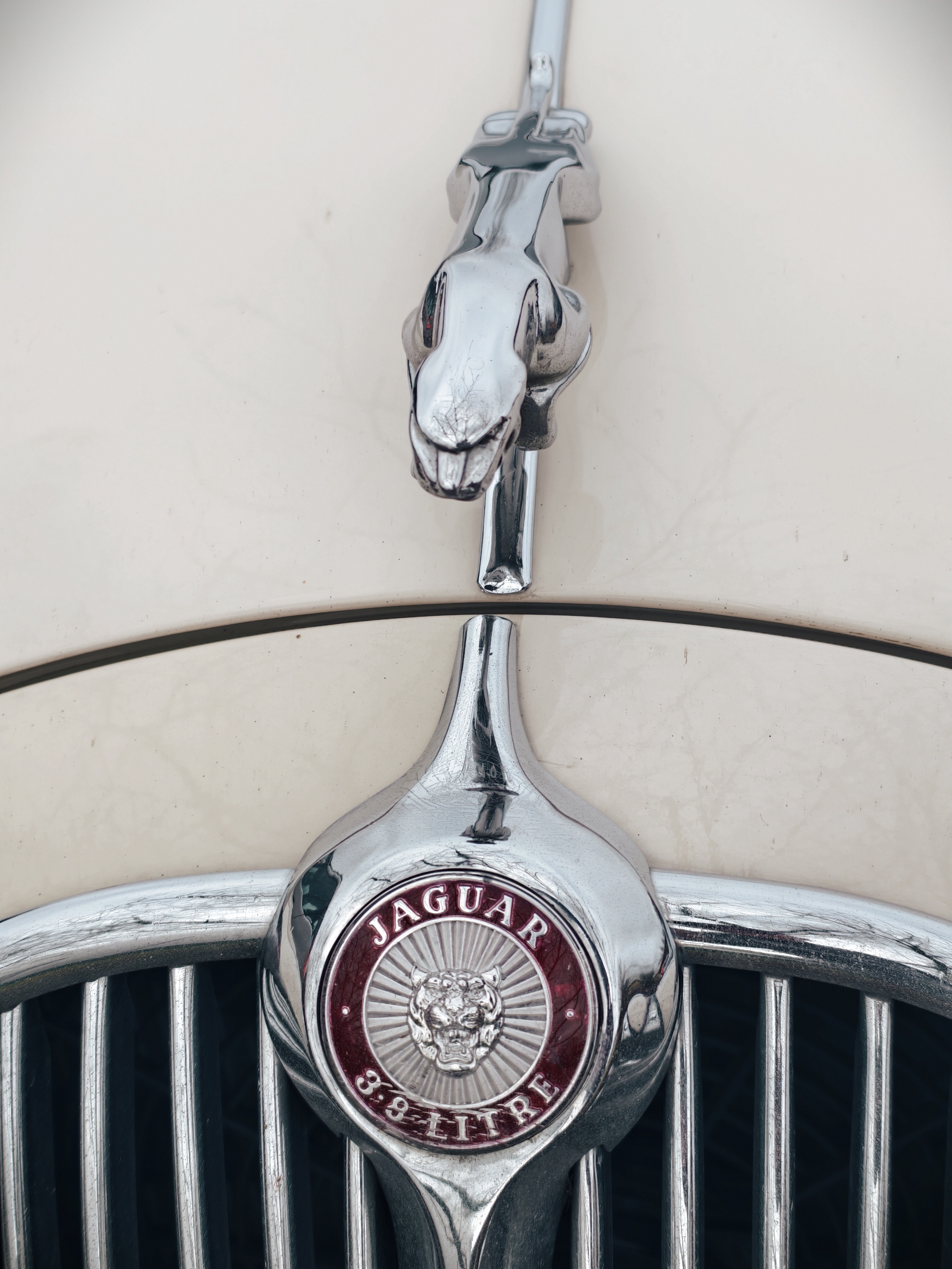 [Image: IMG_20260207_111358.jpg]