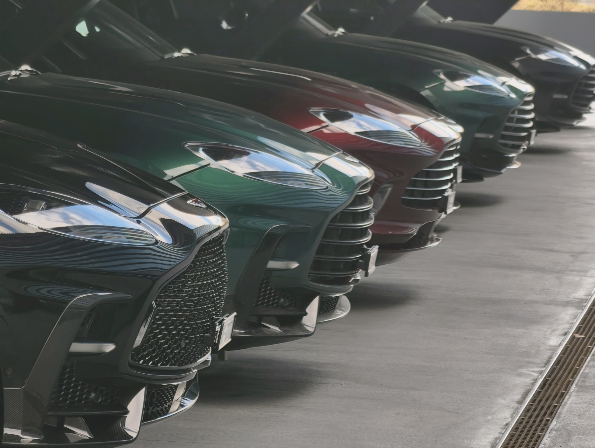 [Image: IMG_20260224_161817.jpg]