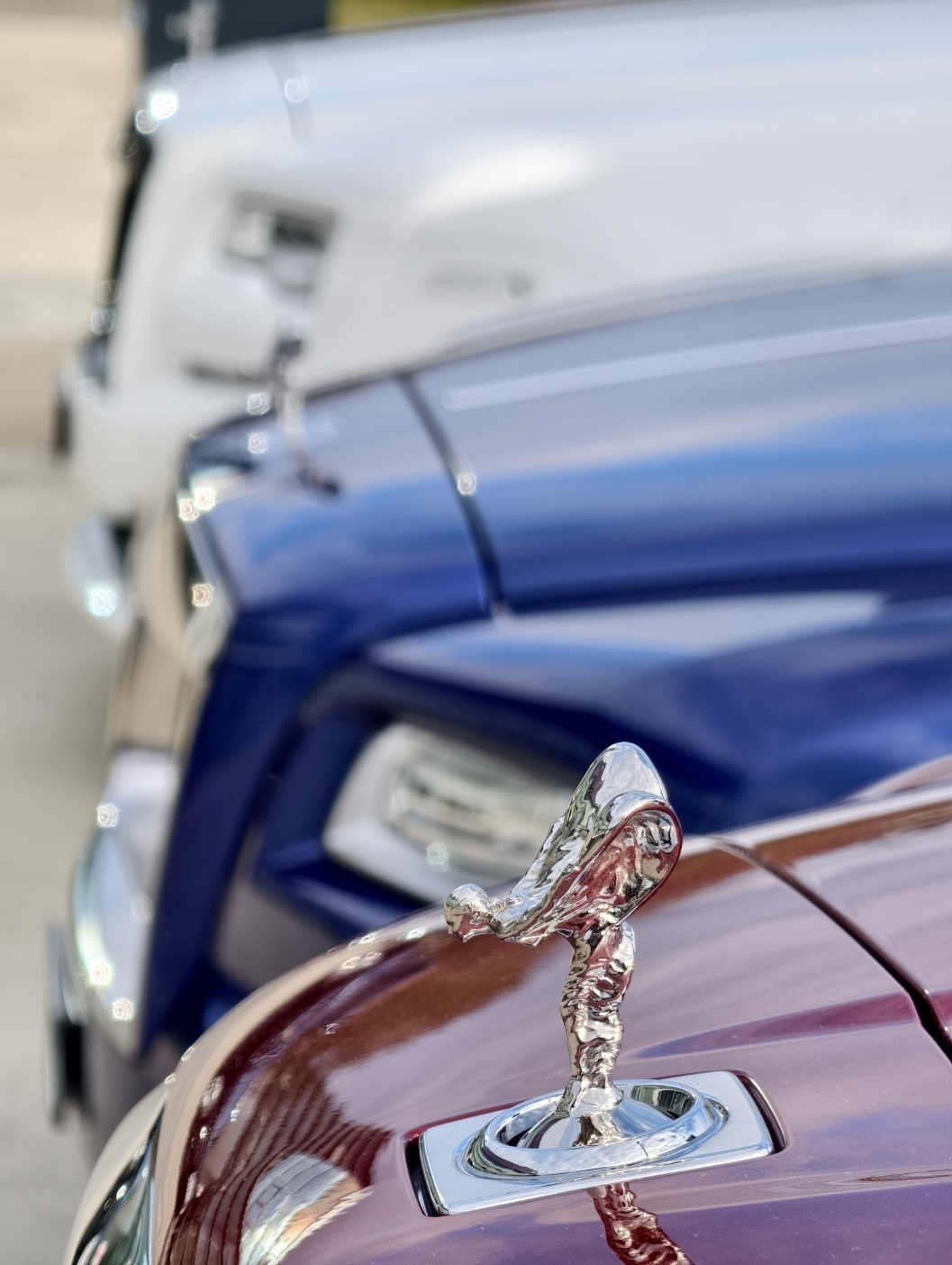 [Image: IMG_20260224_162113.jpg]