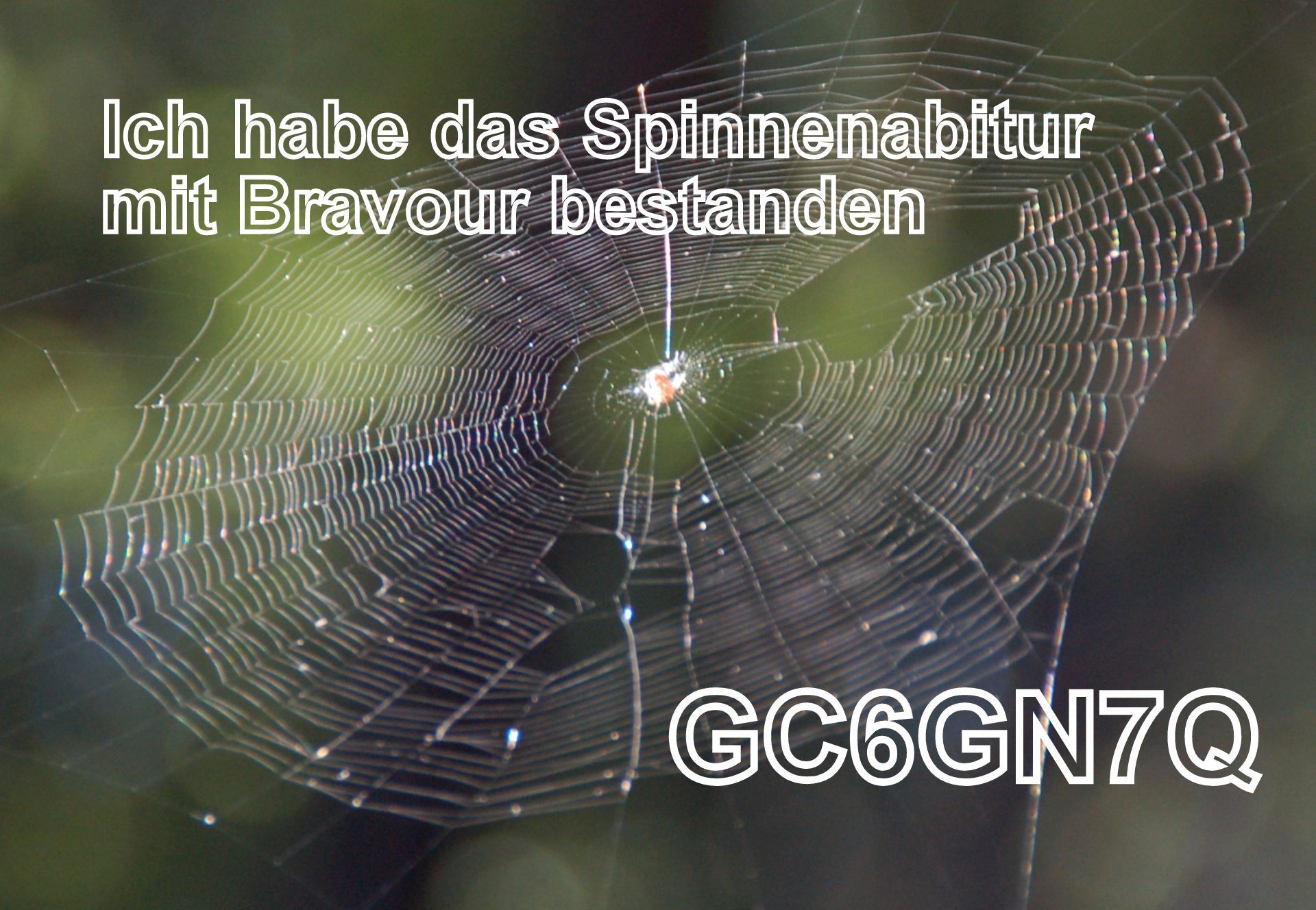 GC6GN7Q