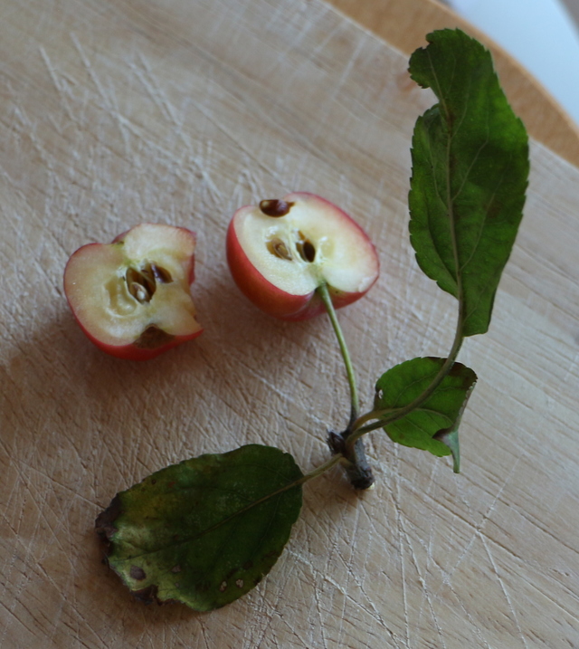 Aufgeschnittene Frucht