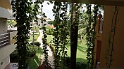DSC02985