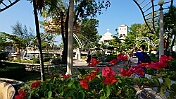 DSC03835
