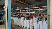 DSC03848