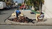 DSC03849