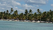 DSC03311