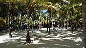 DSC03397