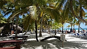 DSC03398