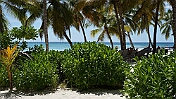 DSC03405