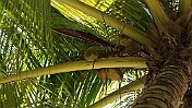 DSC03406