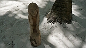 DSC03409