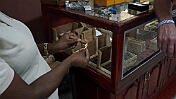 DSC03248
