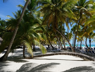Saona