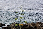 K1024_DSC02415